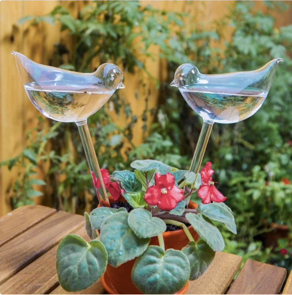 Screen Shot 2023-02-27 at 3.42.23 AM